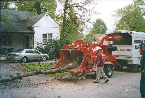 Brush Chipping Arundel Tree Service