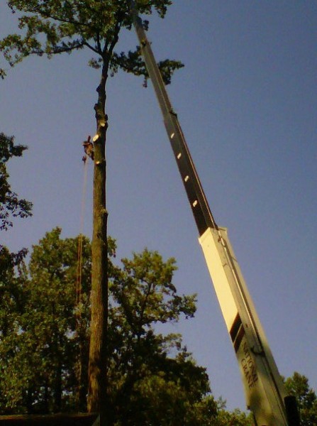 Crane Removal-Crownsville-Arundel Tree Service