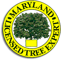 MD Licensed Tree Expert, Arundel Tree Service